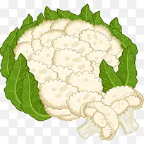 ��ͨʸ���߲˻�Ҭ��-������