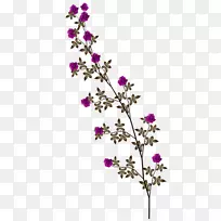 剪贴画-空若网 剪贴画-空若网