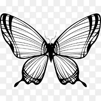 �������-������