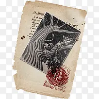 ������ֽ-������