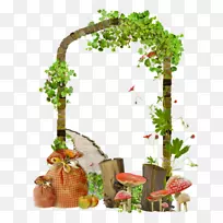 博客-空若网 博客-空若网