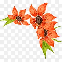 �����ֻ�ϳ�ˮ�ʳ�ɫ�Ļ���-������