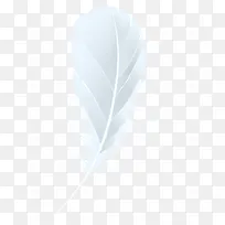 ʸ����ɫ��ë-������