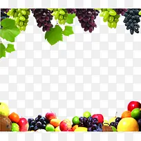 水果边框-空若网 水果边框-空若网