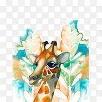 插画-空若网 插画-空若网