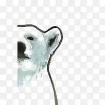 手绘北极熊-空若网 手绘北极熊-空若网