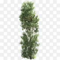 ������Ӱ��������-������