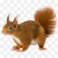 ������Ӱ����ˣ��С����-������