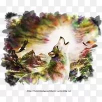 照片过滤博客-管-空若网 照片过滤博客-管-空若网