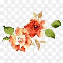 水彩牡丹-空若网 水彩牡丹-空若网