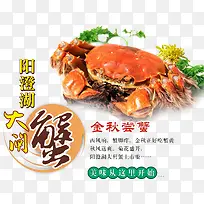 大闸蟹促销-空若网 大闸蟹促销-空若网