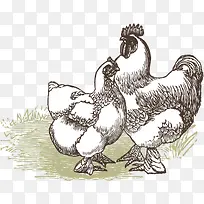 ĸ����ͼ����ʸ���ز�-������