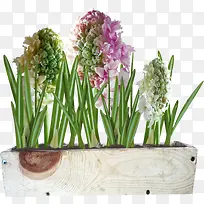 手绘盆栽装饰花卉素材-空若网 手绘盆栽装饰花卉素材-空若网