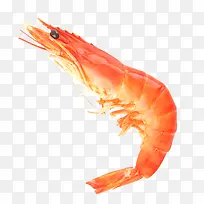 ��Ʒʵ�������Ľ�ɫСϺ-������