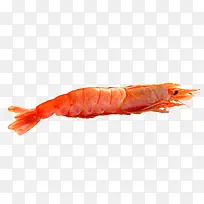 ��Ʒʵ���ɫСϺ-������