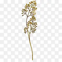 ��֦-������