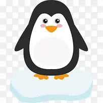 北极动物-空若网 北极动物-空若网