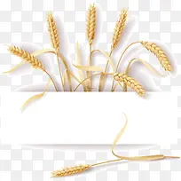 ʳ���ǩ�ز�-������