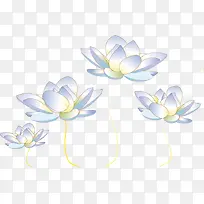 矢量手绘荷花-空若网 矢量手绘荷花-空若网