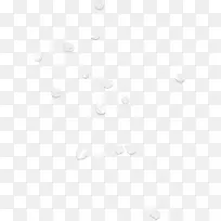 白色花瓣-空若网 白色花瓣-空若网