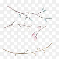 树枝-空若网 树枝-空若网