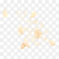 食物果实不规则漂浮-空若网 食物果实不规则漂浮-空若网