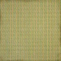 ����ֽ�ű���-������