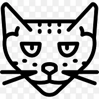 萨凡纳猫图标-空若网 萨凡纳猫图标-空若网