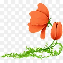 橙色花朵金秋图片-空若网 橙色花朵金秋图片-空若网