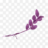 ��ɫ��Ҷ��-������