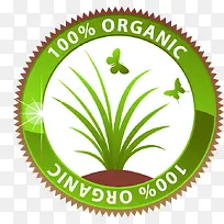 手绘绿草边框字母图案-空若网 手绘绿草边框字母图案-空若网