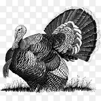 ��Լ��ë��ȸ�廭-������