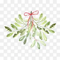 水彩植物装饰-空若网 水彩植物装饰-空若网