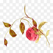 水彩花-空若网 水彩花-空若网