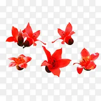 ��ɫľ�޻�����λչʾͼ-������