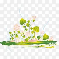 矢量绿色开花藤蔓植物-空若网 矢量绿色开花藤蔓植物-空若网