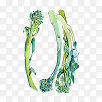 水彩青菜-空若网 水彩青菜-空若网