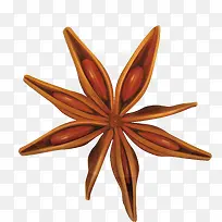 花椒png矢量元素-空若网 花椒png矢量元素-空若网