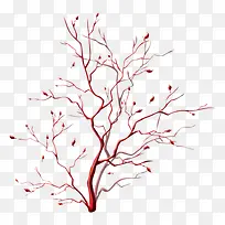 棕色的枯枝-空若网 棕色的枯枝-空若网