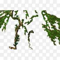 卡通树藤青苔图案-空若网 卡通树藤青苔图案-空若网