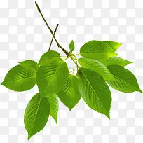 绿色环保促销装饰-空若网 绿色环保促销装饰-空若网