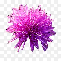 ��ɫ�̼���ͼƬ�ز�-������