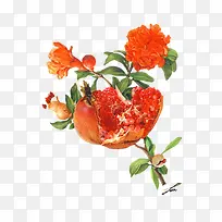 �ֻ�ʯ��-������