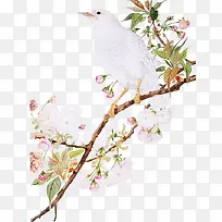 ����֦ͷ-������