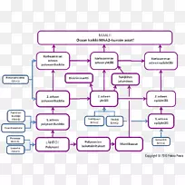 数学生物化学二次函数-空若网 数学生物化学二次函数-空若网