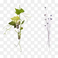 ������Ҷ��֦��ɫ����ʸ�����ͼƬ-������