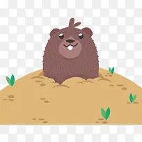 可爱土拨鼠-空若网 可爱土拨鼠-空若网