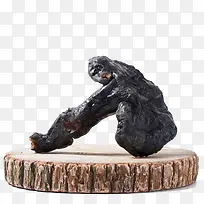 一株灵芝-空若网 一株灵芝-空若网