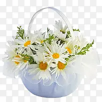 ��ɫҰ�ջ���-������