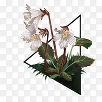 ʸÁ¿»¨¶ä-¿ÕÈôÍø ʸÁ¿»¨¶ä-¿ÕÈôÍø